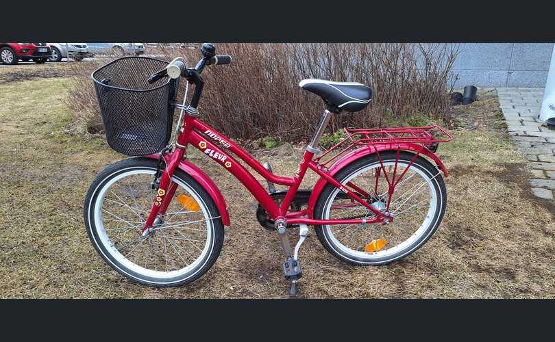 Nopsa Fleur '20-kuva-1